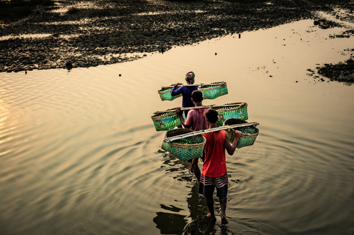 গ্রাম-বাংলার চিরচেনা রূপ